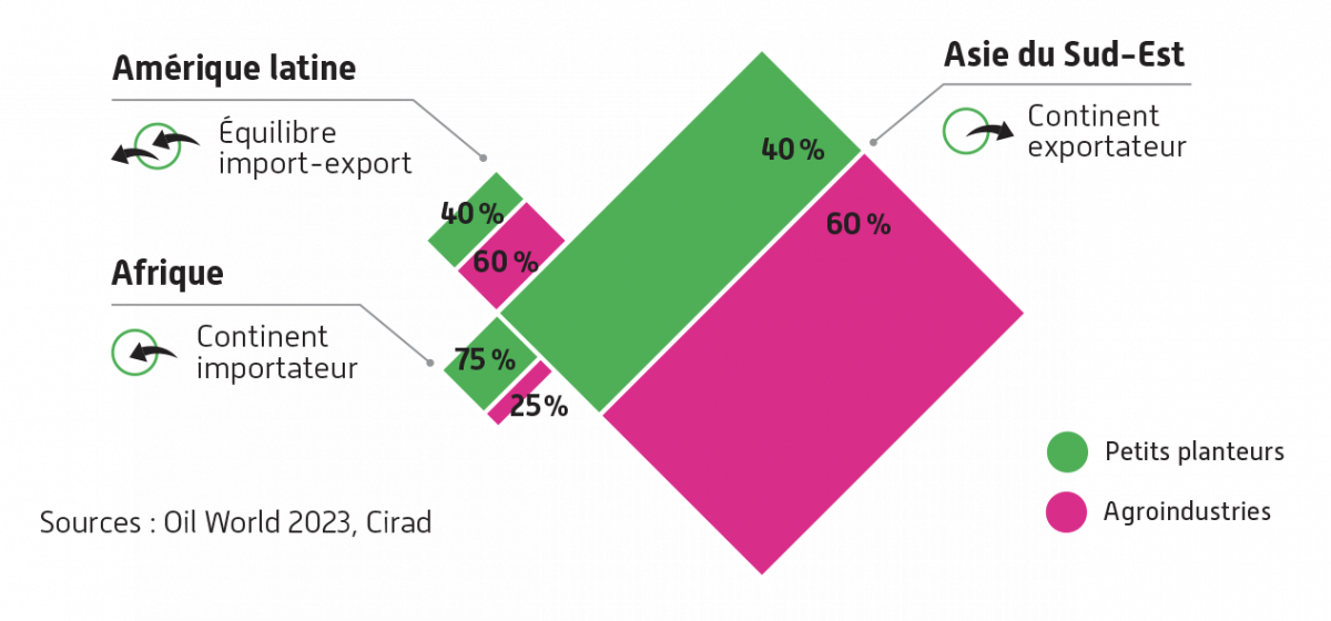 Surfaces de palmeraie  répartition par acteur  bilan import-export par continent